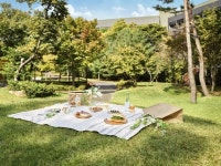 롤링힐스 호텔, 피크닉 앳 롤링 패키지 출시