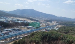 춘천시, 김유정로 등 가로수·조림사업 추진