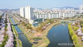 안산 분홍빛 물들다…“동네벚꽃 인생샷!”