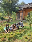 남양주시 농촌치유프로 5월개시…가족동반