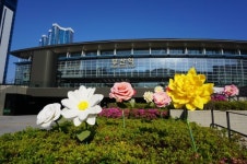 장미·동백 자이언트 플라워 부산역 광장 수놓는다