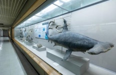 부산 대표 해양수산분야 전시기관 3곳, 해양문화 인프라 구축 맞손