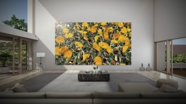 요즈마, 디지털 아트플랫폼 '니오'와 '디지털 아트 & NFT'  개최