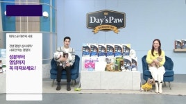 CJ온스타일, 프리미엄 펫사료 데이스포 테라픽 올펫 방송 진행