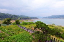 물안개 걷히면 드러나는 水려한 합천의 여름 [Weekend 레저]