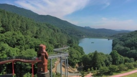 [남도둘러보기]전남 보성의 높이숲 제암산자연휴양림