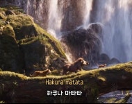 추가 징계 위기 몰린 이준석 하쿠나 마타타 노래 공유하며 묘한 글