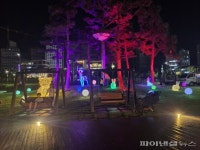 양주시 옥정공원 루미나리에 ‘가동’…시민호응↑
