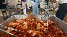 배추 한포기에 1만5000원 김치대란..사고 싶어도 없어