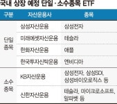 똘똘한 주식 하나만 집중투자… '단일 ETF' 내달 출격