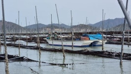 전남도, 올해 수산업경영인 225명 육성