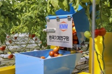 무인 스마트팜 로봇이 토마토를 따고 운반한다