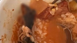 국밥서 쥐 나왔다 주장에 손님이 돈요구 美한식당, 맞고소