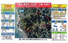 충남 홍성산불,강풍에 재확산...진화율 73%→66%