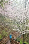 전북 완주 BTS 힐링 성지를 가다