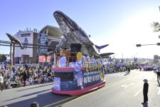 울산고래축제 11일 개막...열기구 타고 해상쇼 구경