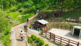 드림뜰 힐링팜, 꽃내음 솔솔~ 산책길 걷다보면 힐링이 절로 [현장르포]