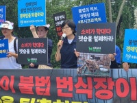 반려동물 교수 알고보니...불법 개 경매장 대표