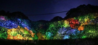 함께 떠나요, 낭만 가득한 가을밤의 여행을