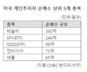 엔비아티스츠그룹주 | 엔비디아도 애플도 아니었다...美 개미들이 올해 가장 많이 순매수한 종목은 '이것'