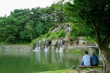 충북 제천, 황금빛 벼가 일렁이는 들판서 누리는 풍요의 축제