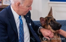 美 퍼스트독 바이든의 셰퍼드, 사람 공격 11번 결국 백악관서 쫓겨났다