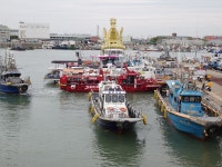 고래 빼고 다 파는 수도권 최대 산지 어시장[길위에 장이 선다]