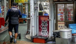 반려견 1000만 시대..개식용 금지법안 발의, 논란 종식될까?
