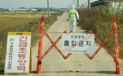 고창서 럼피스킨병 확진…전북 3번째 발생
