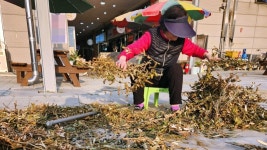 완주-전주-익산 잇는 삼례시장[길위에 장이 선다]