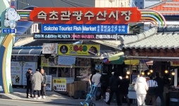 바다 시장 대명사 속초수산시장..오징어 대체할 명물은 뭘까[길 위에 장이 선다]