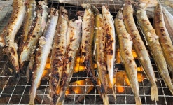 바다 시장 대명사 속초수산시장..오징어 대체할 명물은 뭘까[길 위에 장이 선다]