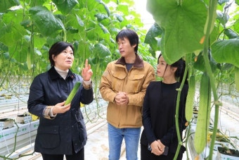 스마트팜 찾은 송미령 농식품부 장관 