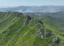 [남도둘러보기]웰니스 여행지로 주목받는 고흥 팔영산과 편백 치유의 숲