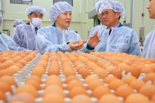 송미령 농식품부 장관, 조류 인플루엔자 방역현장 점검