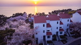 벚꽃구경·트레킹·콘서트까지.. 리솜리조트, 블루밍 리솜 프로모션