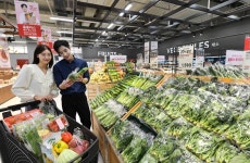 신도시맘 라이프스타일 반영 홈플러스, 동탄에 메가푸드마켓 오픈