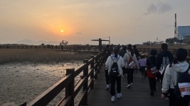 부산관광公 다대포해수욕장 걸으며 자연 느껴요