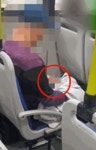 옆자리 승객 하차하자.. 서울 시내버스 안에서 음란행위한 男