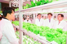 도심 속 농업 현실이 된다...대전시,상가 공실에 테마형 대전팜조성