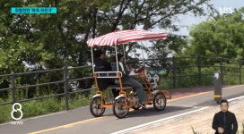 한강서 마차형 자전거 타다 전치 4주 부상 입었습니다