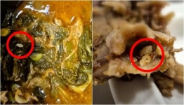 생각만 해도 헛구역질 뼈해장국에 밥알 둥둥...전주 유명 맛집, 음식 재사용 논란