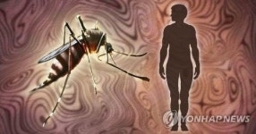 모기 주의해야 1주 새 말라리아 환자 18명, 누적 411명