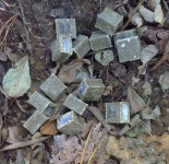 단풍구경 갔다가 이거 보면 절대 만지지 마세요