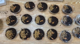 영암곤충박물관, 늦반딧불이 증식 대성공..자연유산 거듭