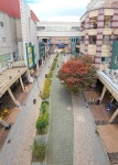 고양 웨스턴돔·라페스타 곳곳이 무대…지역상권 되살아난다