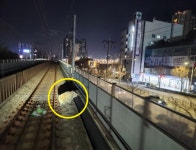 통제구역인데, 어떻게 들어왔지?..지하철 선로에 멧돼지 난입