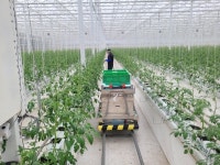 2029년까지 전국 온실 10곳 중 3곳→스마트팜으로 바꾼다