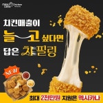 치킨 창업 열기 속 멕시카나 인기 상승… ‘치필링’ 효과 주목