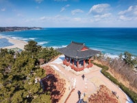 니들이 게맛을 알아? 울진에서 게맛 좀 보고 왔습니다